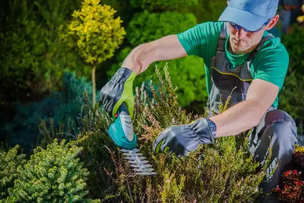 landscaping services Fultonville